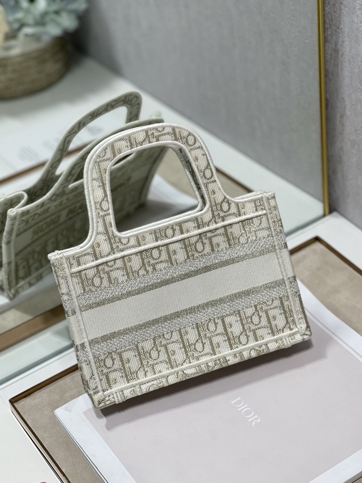 Mini Dior Book Tote