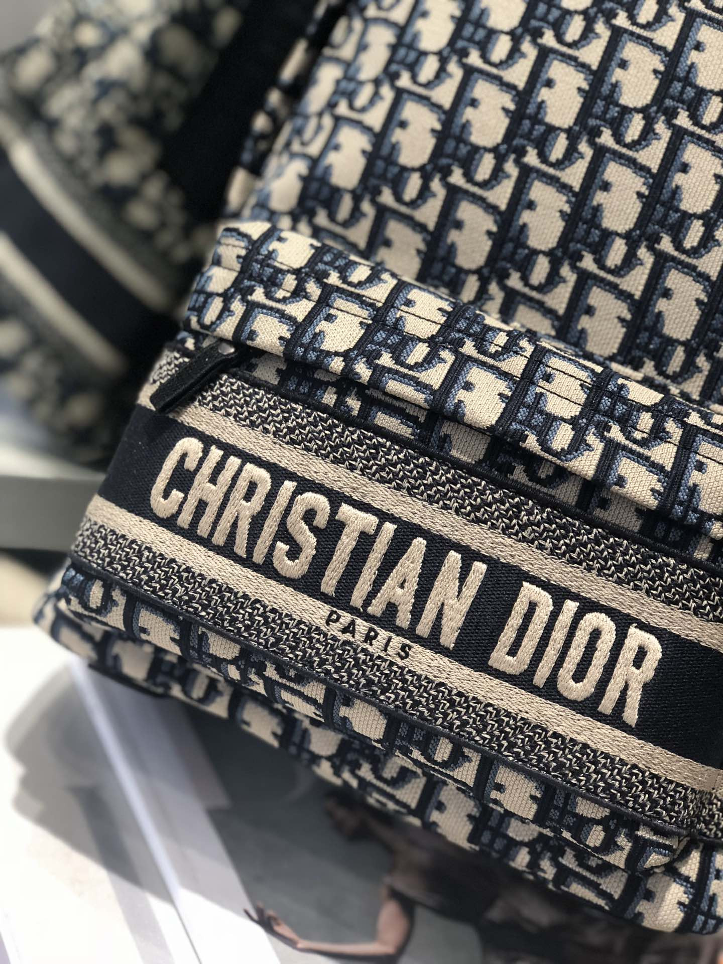 Dior Backpack