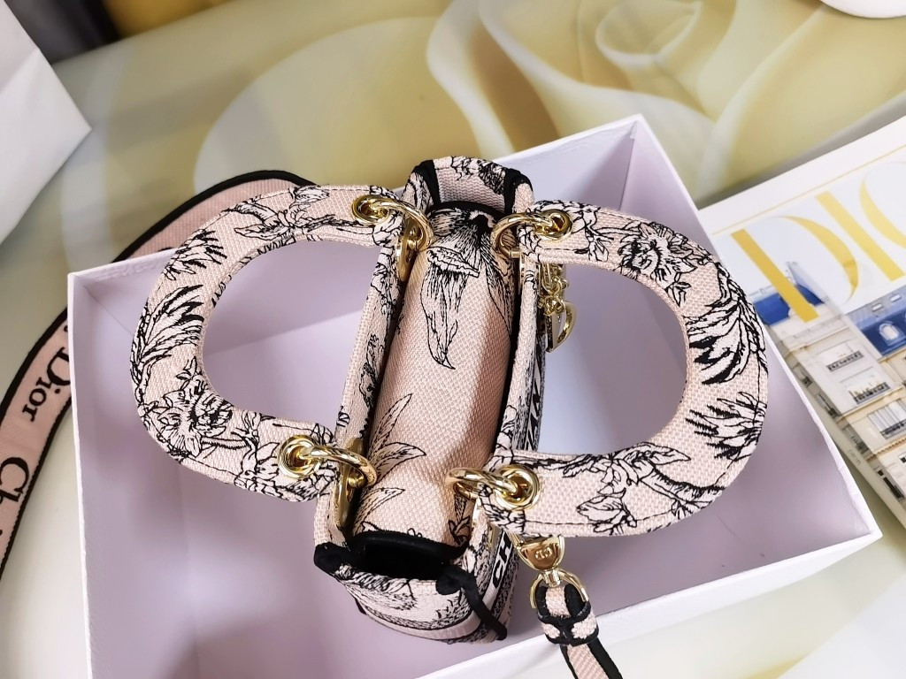 Mini Lady Dior Bag
