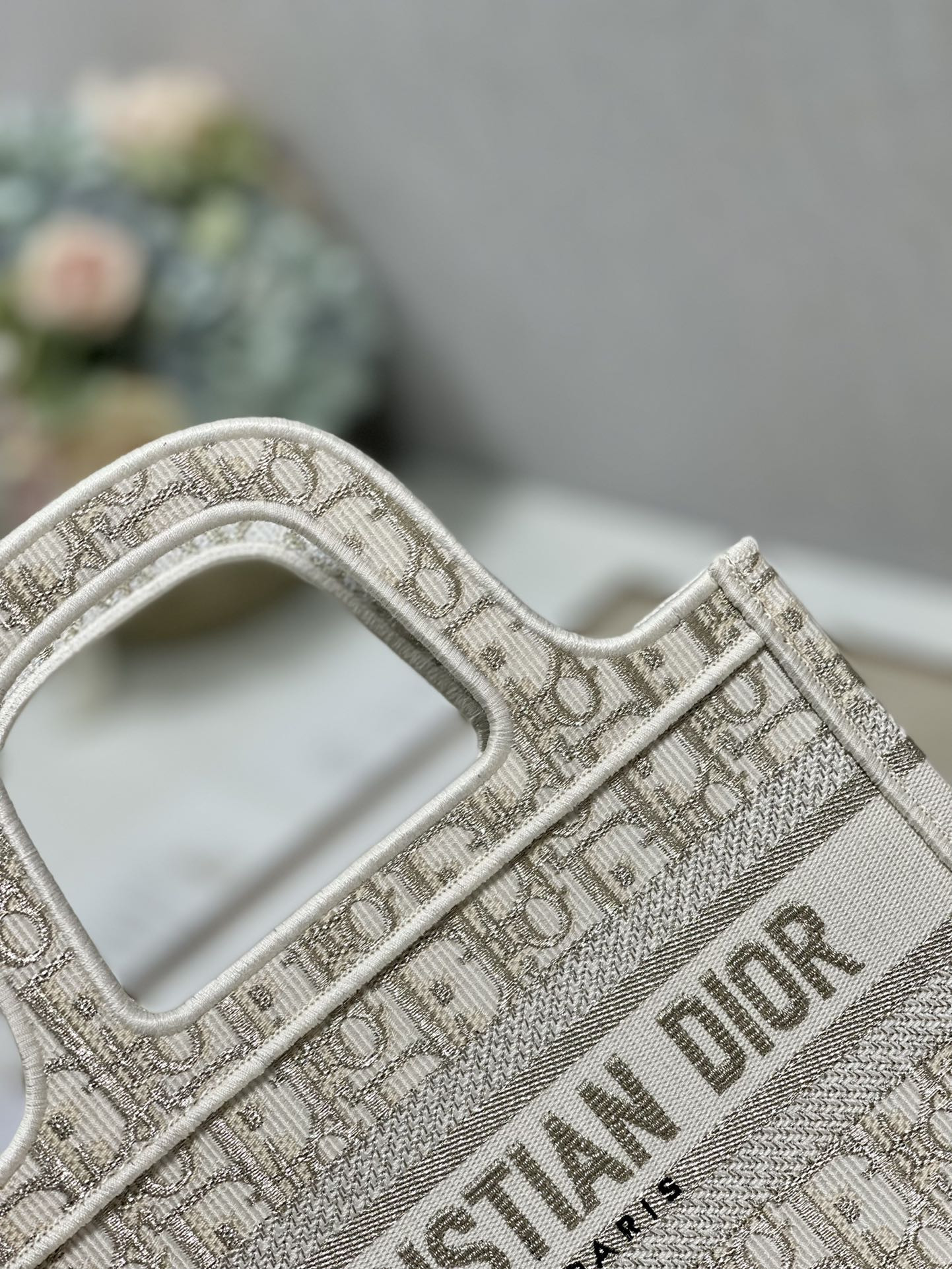 Mini Dior Book Tote