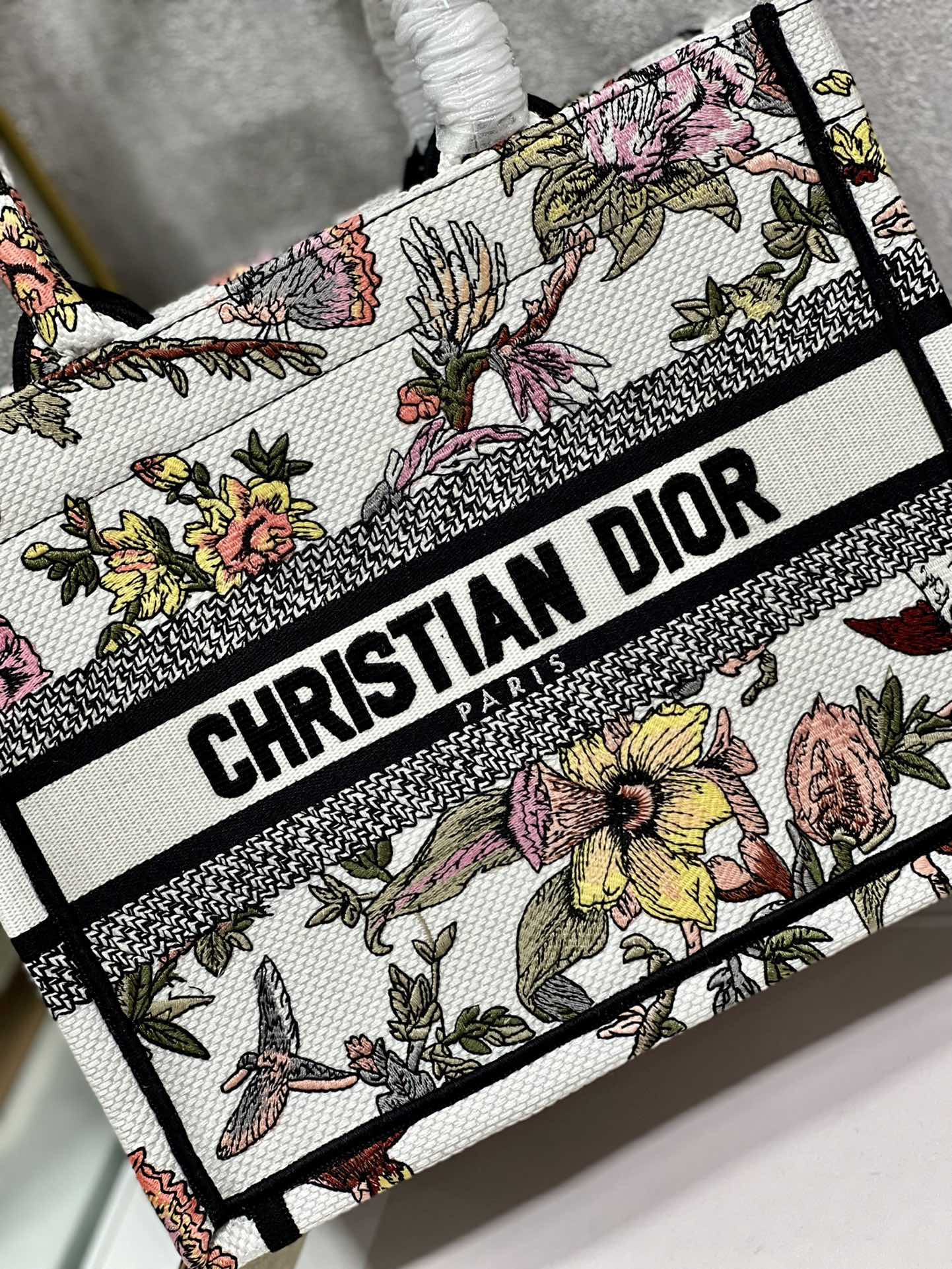 Small Dior Book Tote