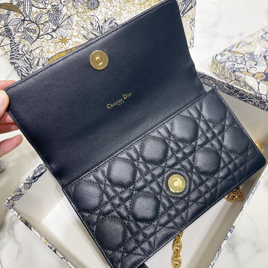 Dior Caro Pouch