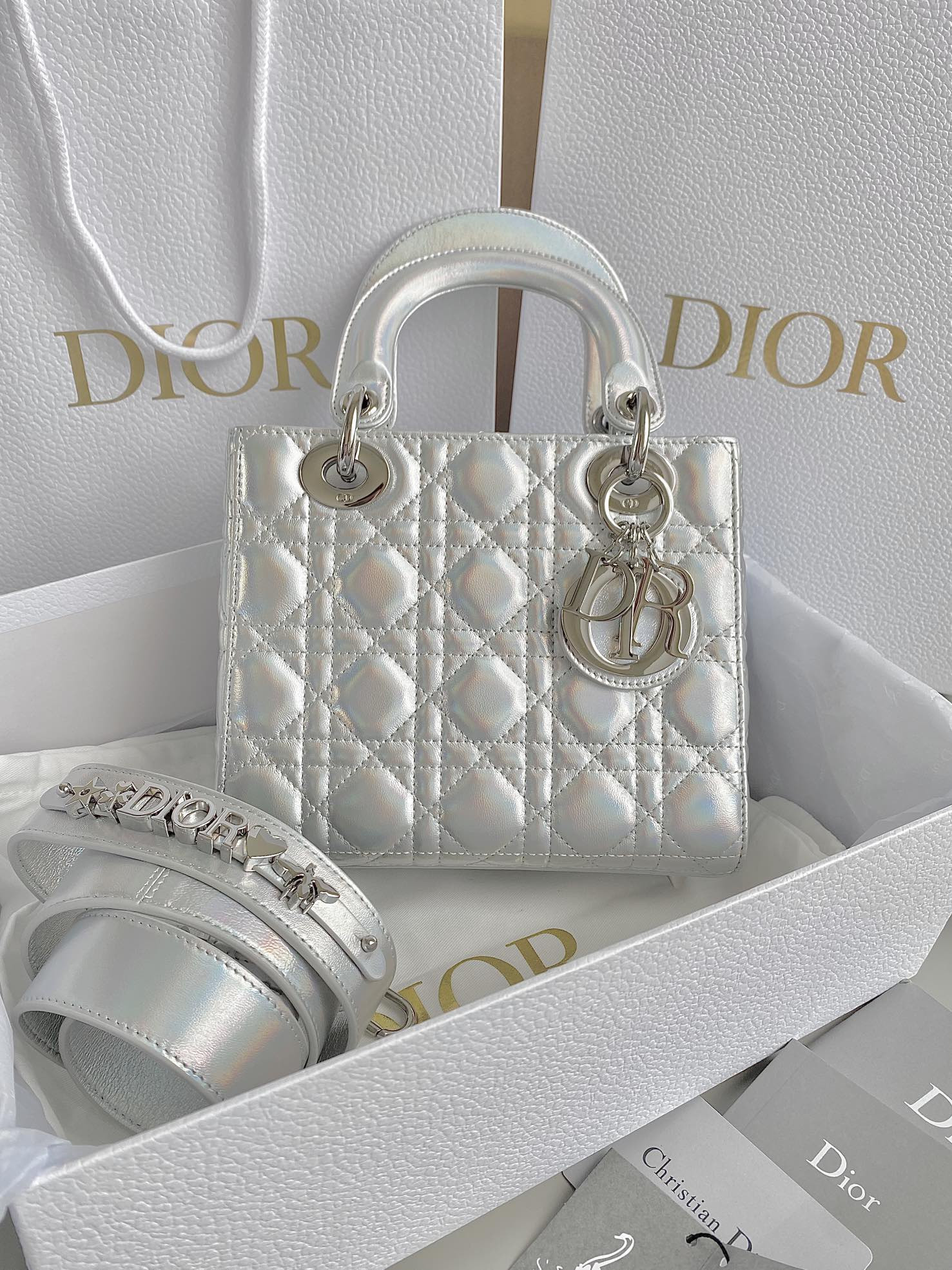 Small Lady Dior Bag