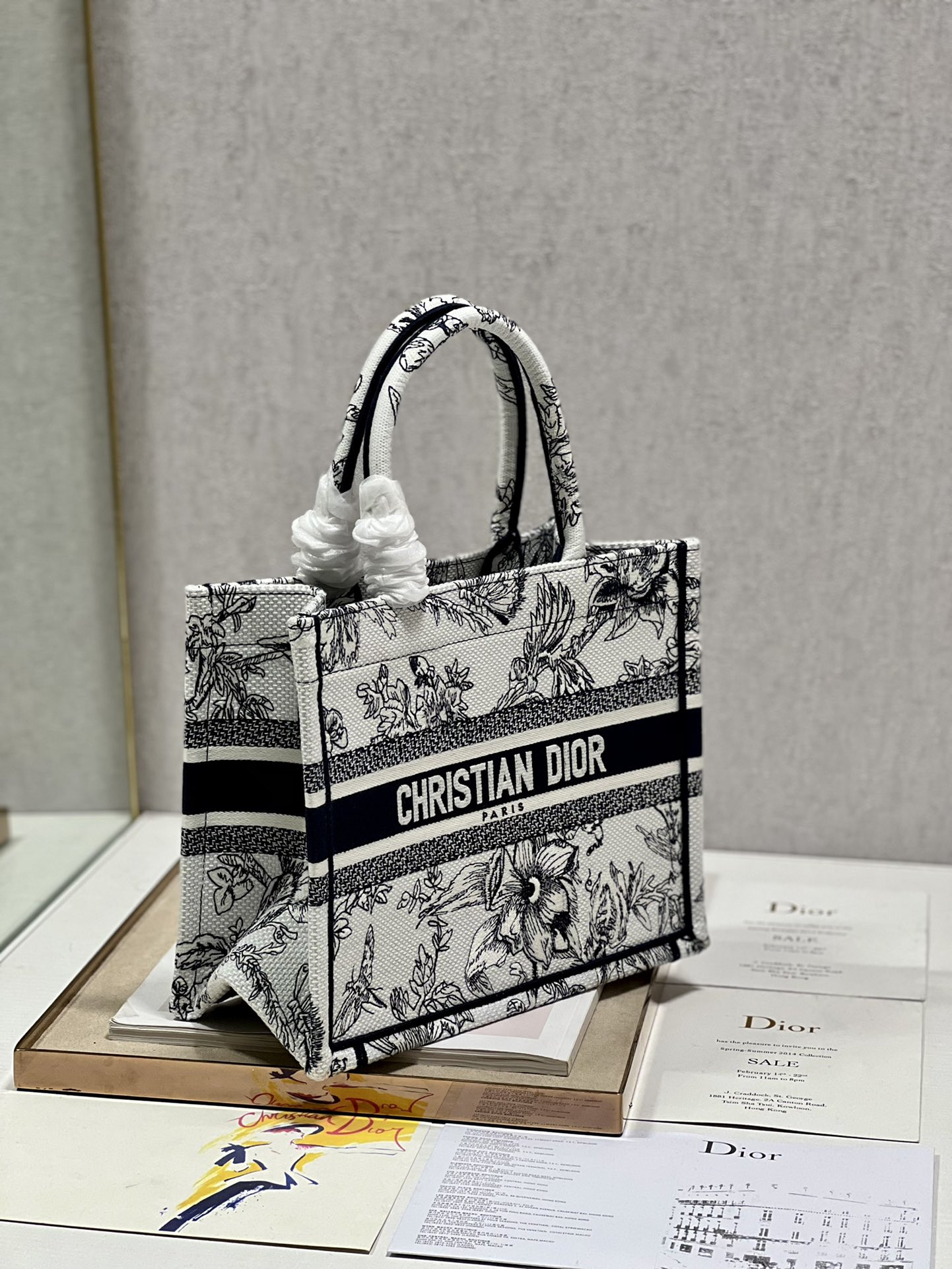 Small Dior Book Tote