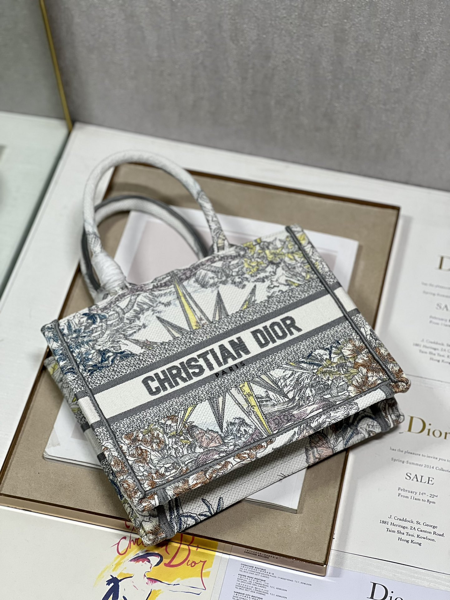 Small Dior Book Tote