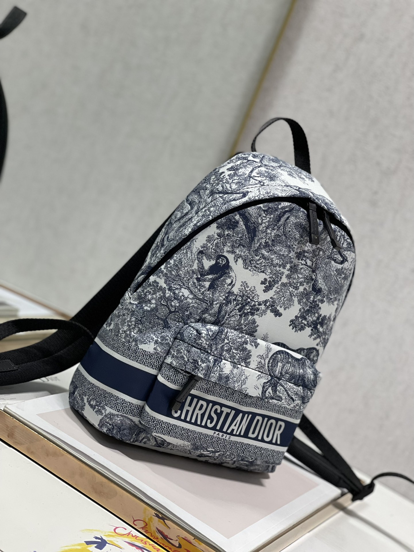 Dior Backpack