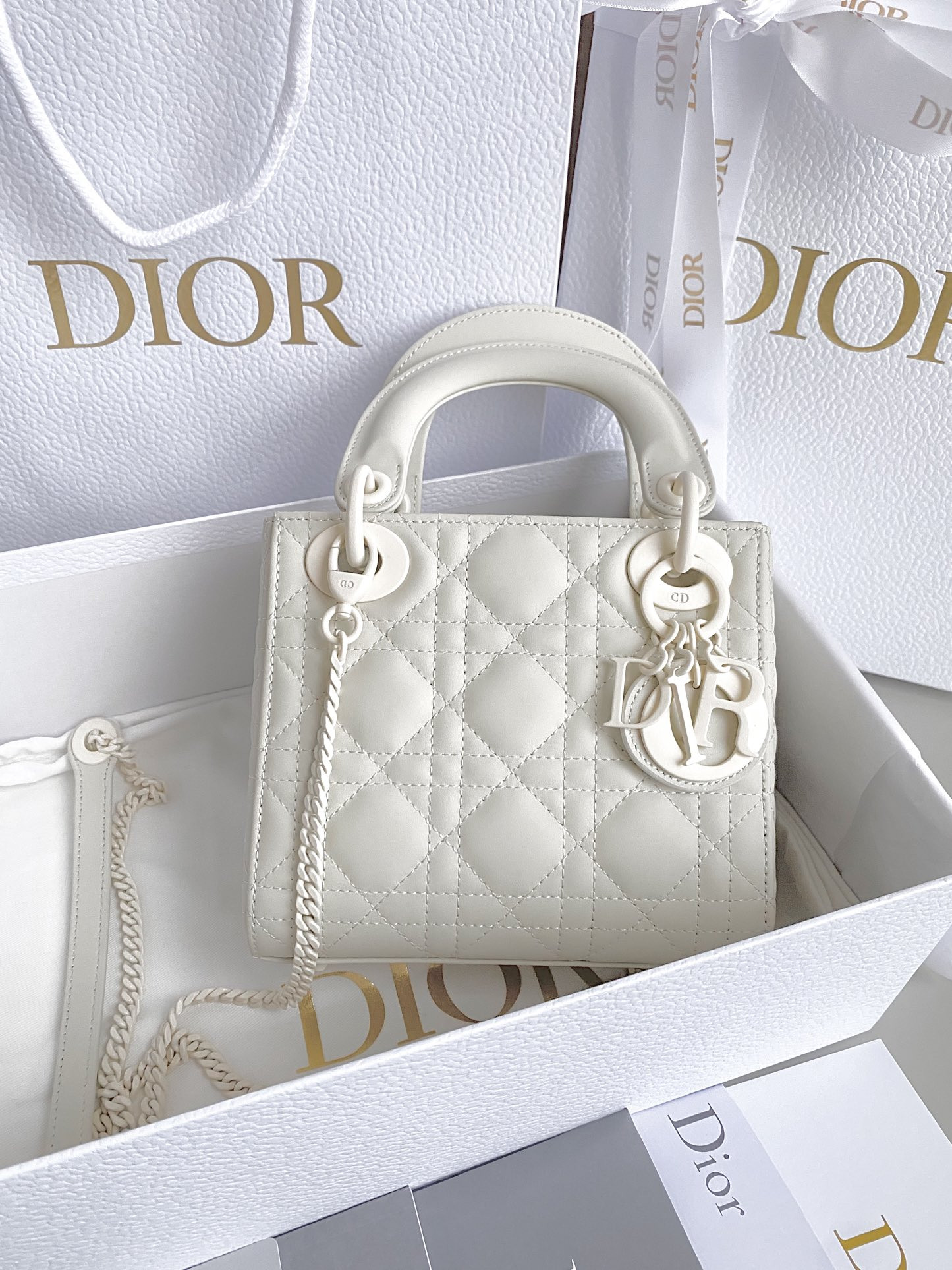 Mini Lady Dior Bag
