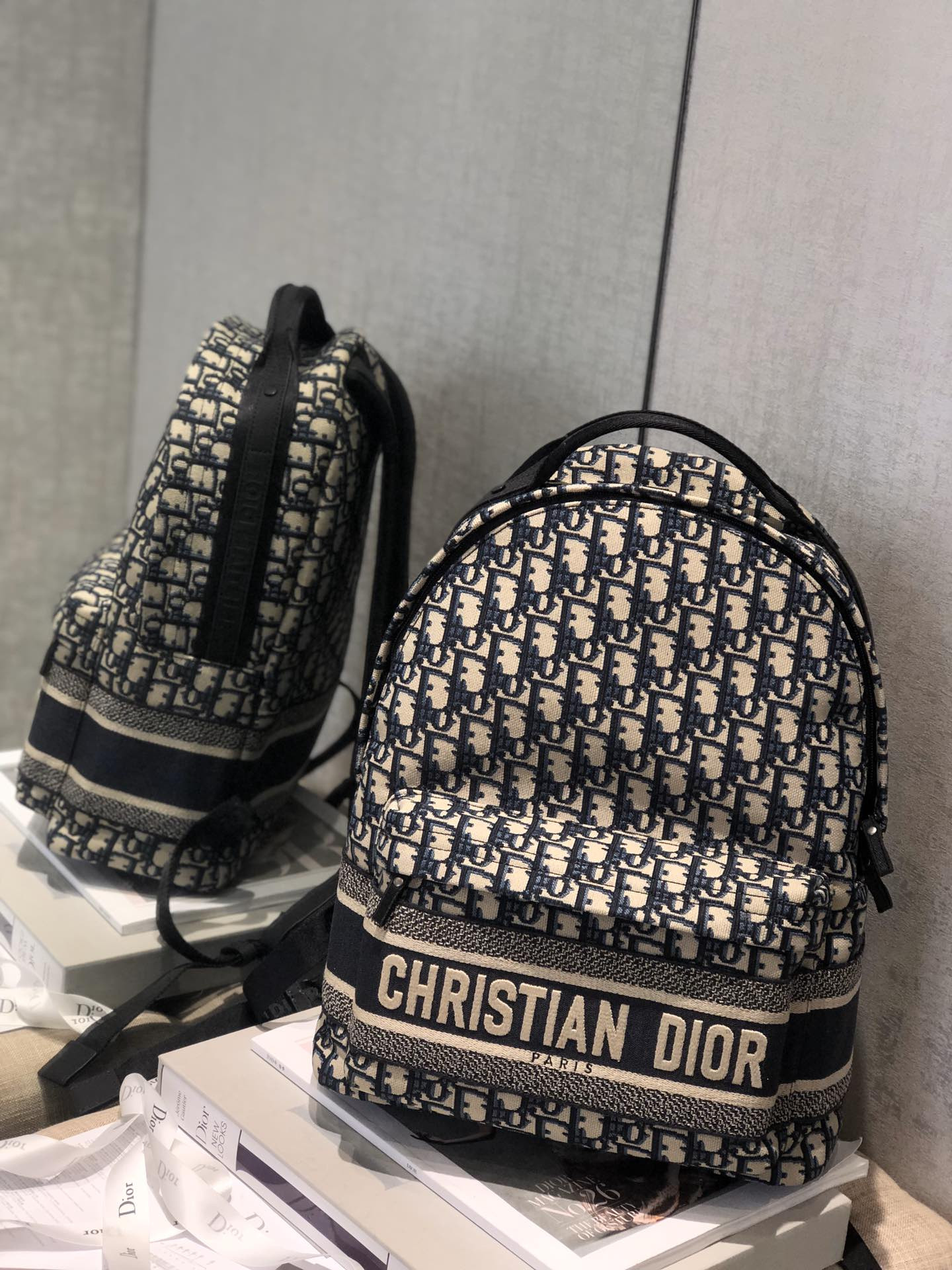 Dior Backpack