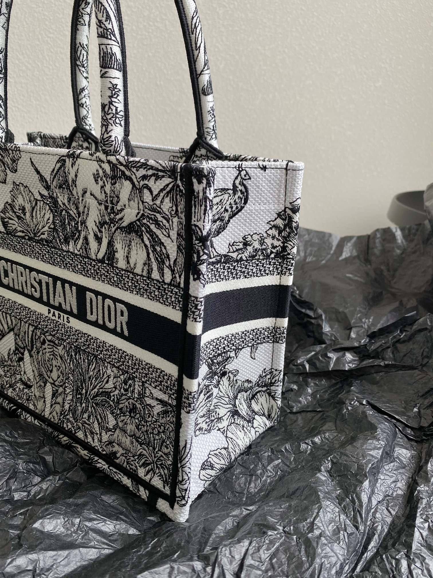 Small Dior Book Tote
