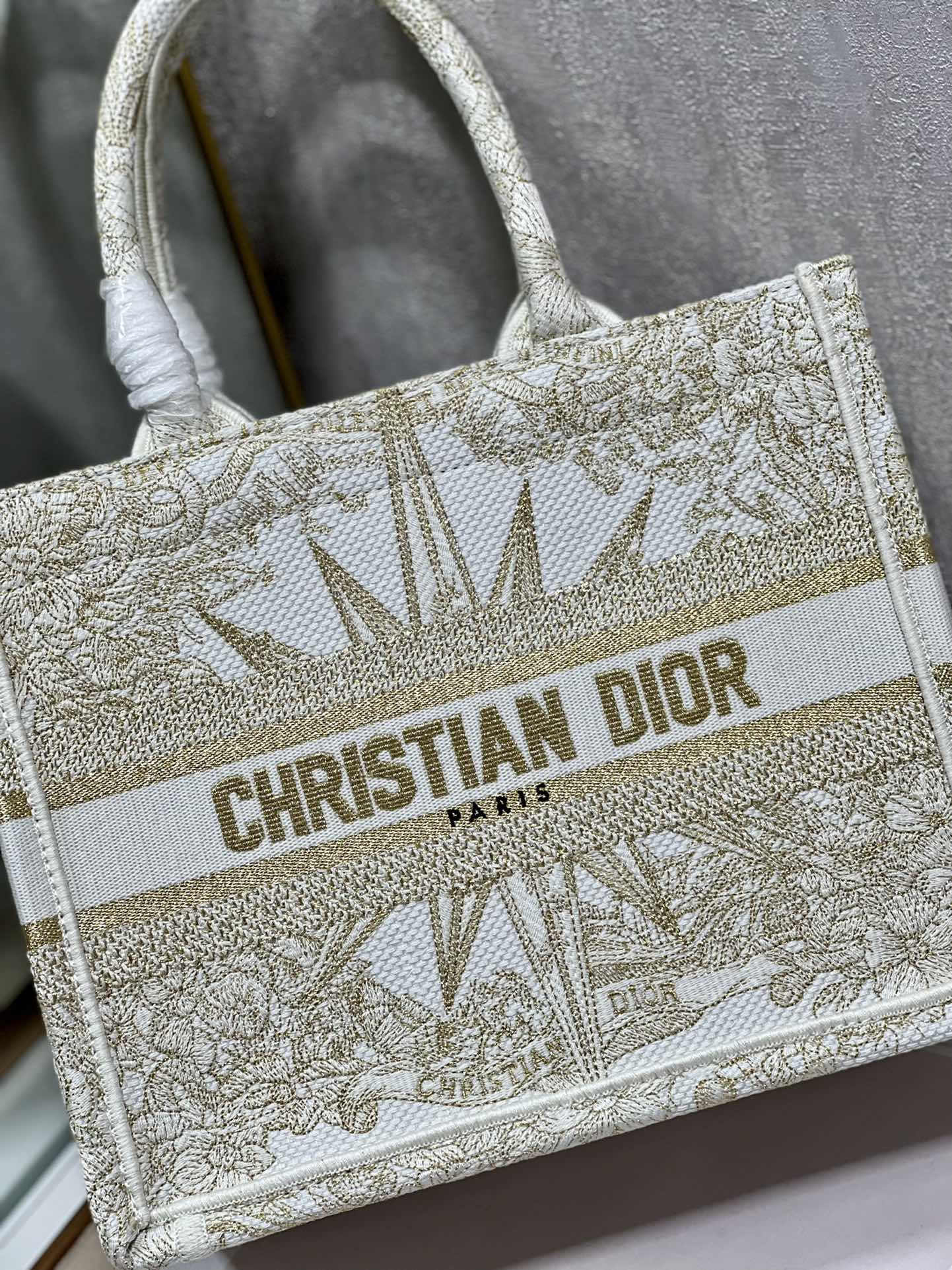 Small Dior Book Tote