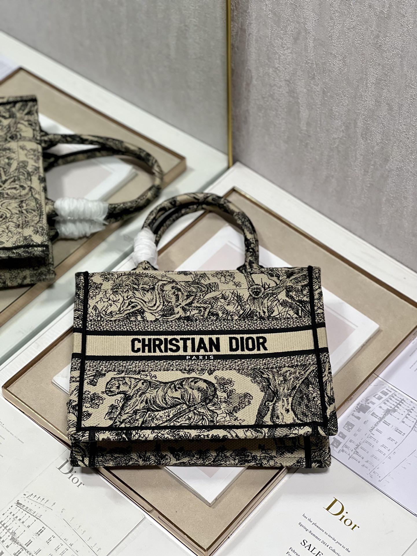 Small Dior Book Tote