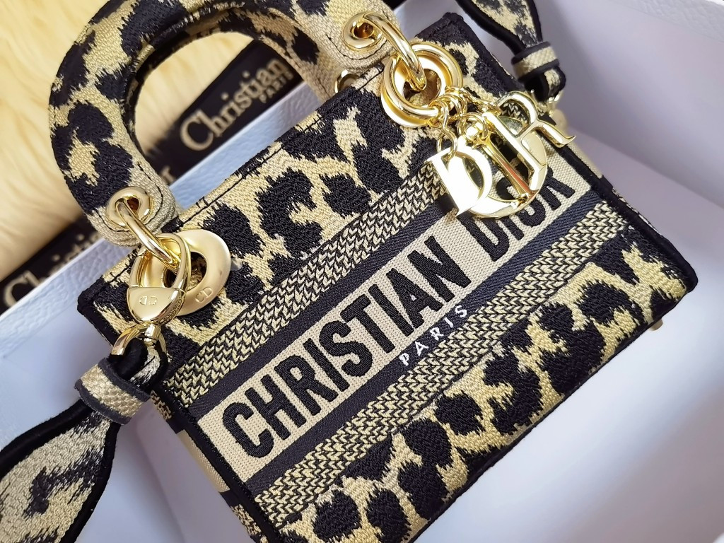 Mini Lady Dior Bag