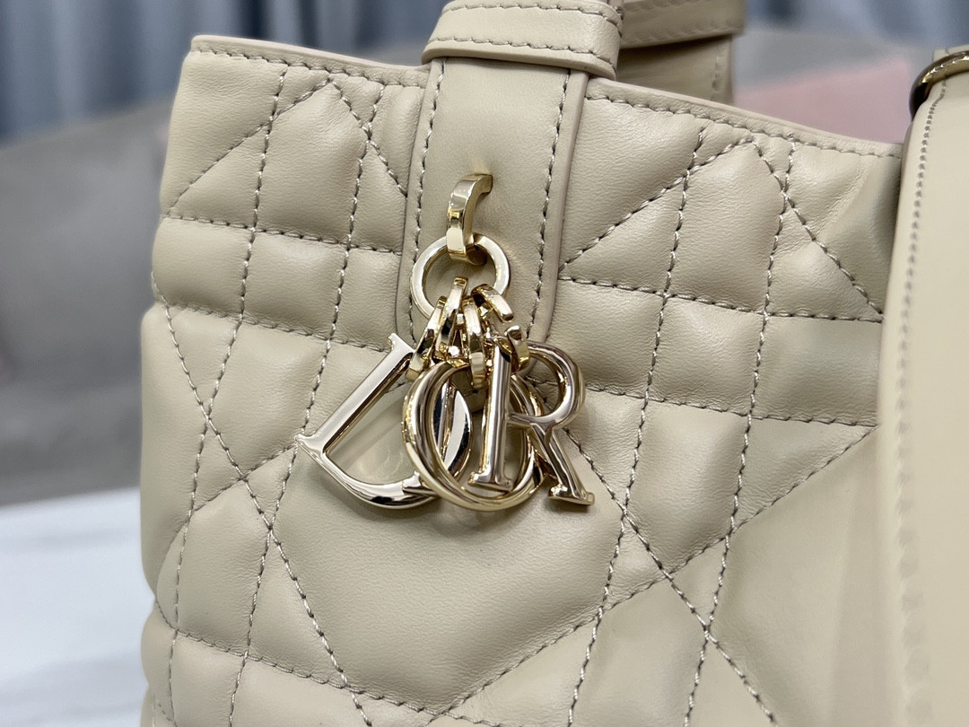 Dior Toujours Bag