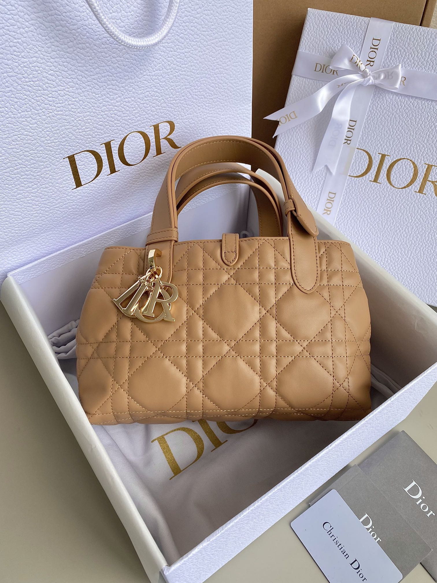 Dior Toujours Bag