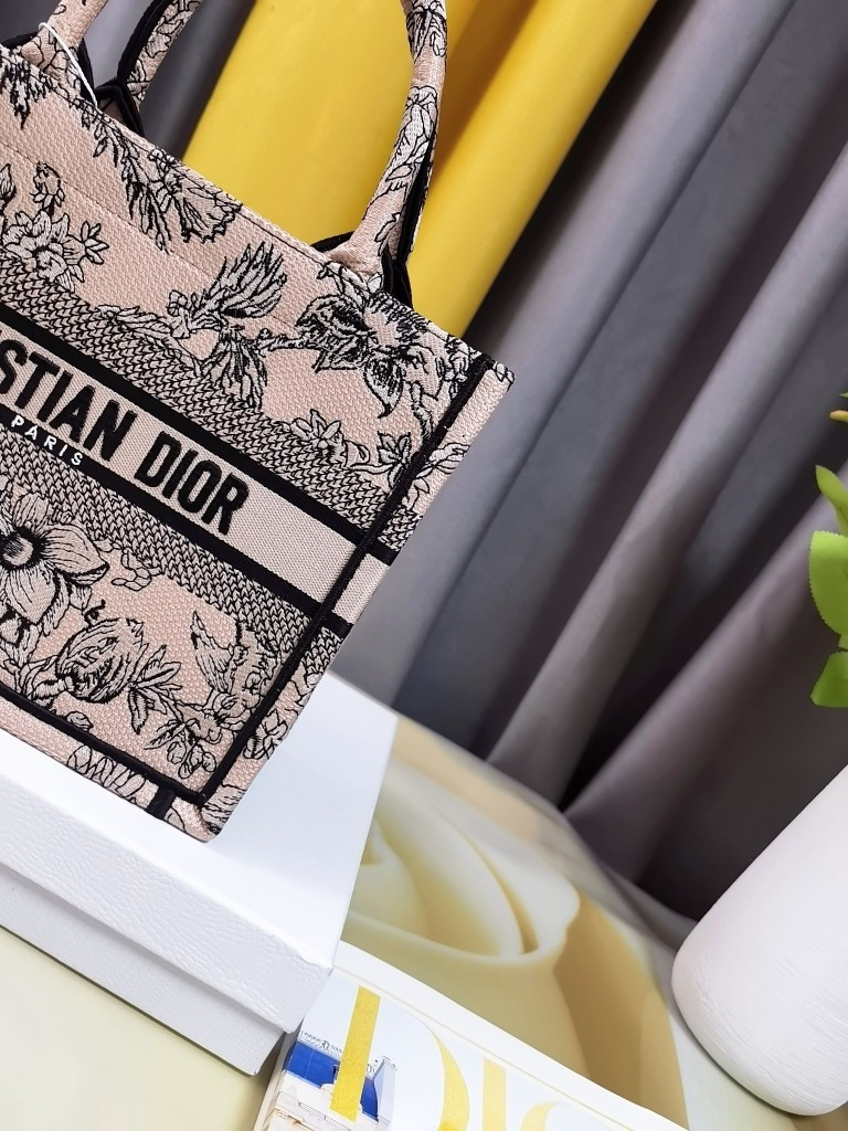 Small Dior Book Tote