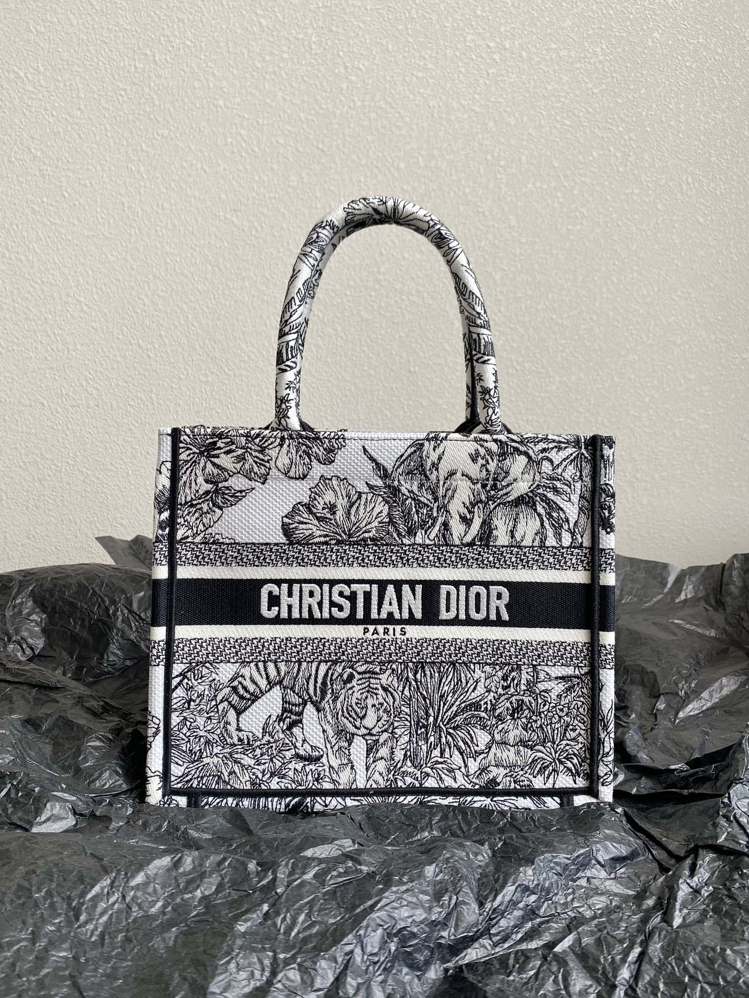 Small Dior Book Tote