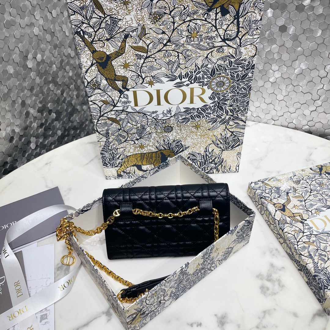 Dior Caro Pouch