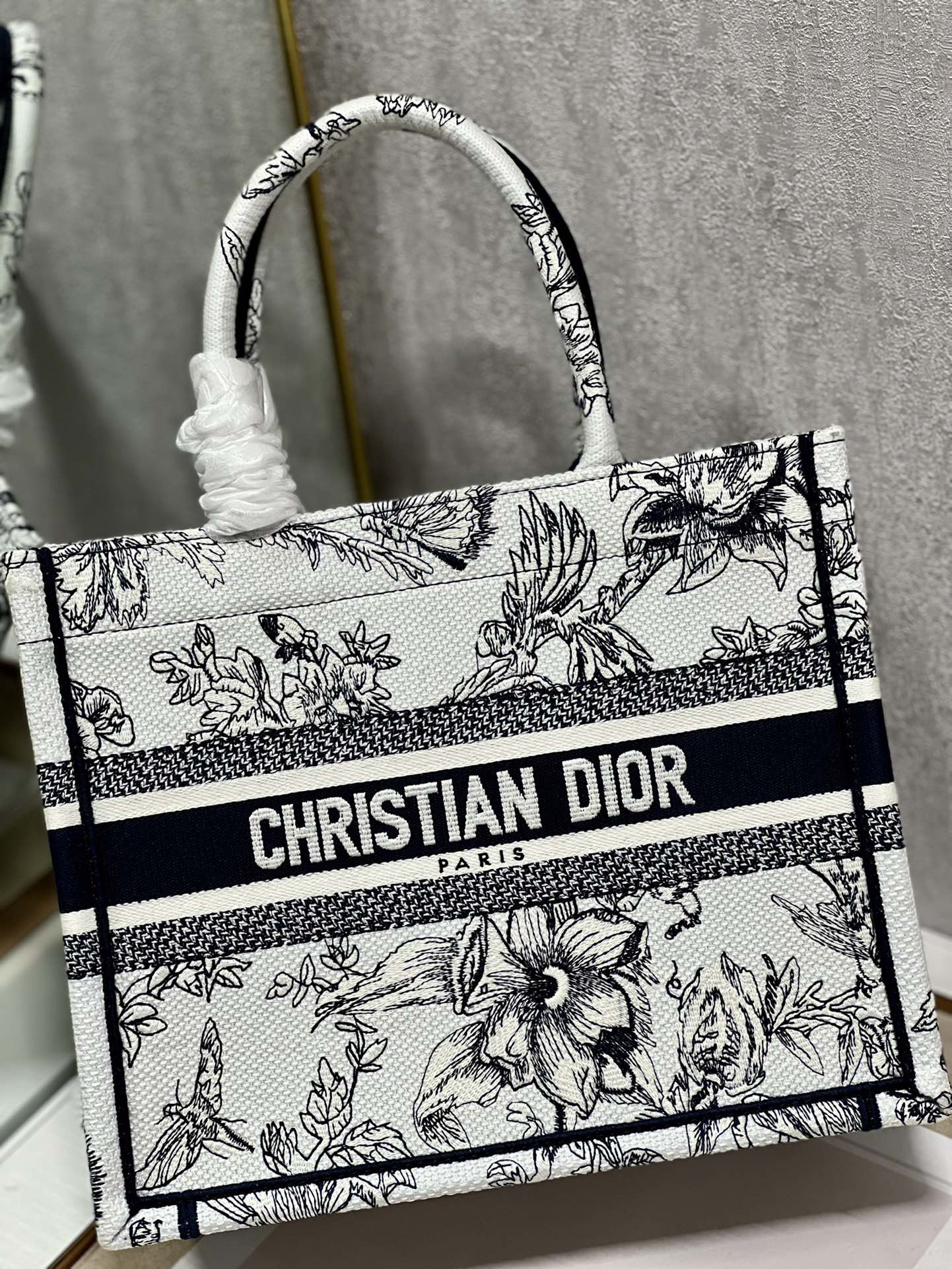 Small Dior Book Tote