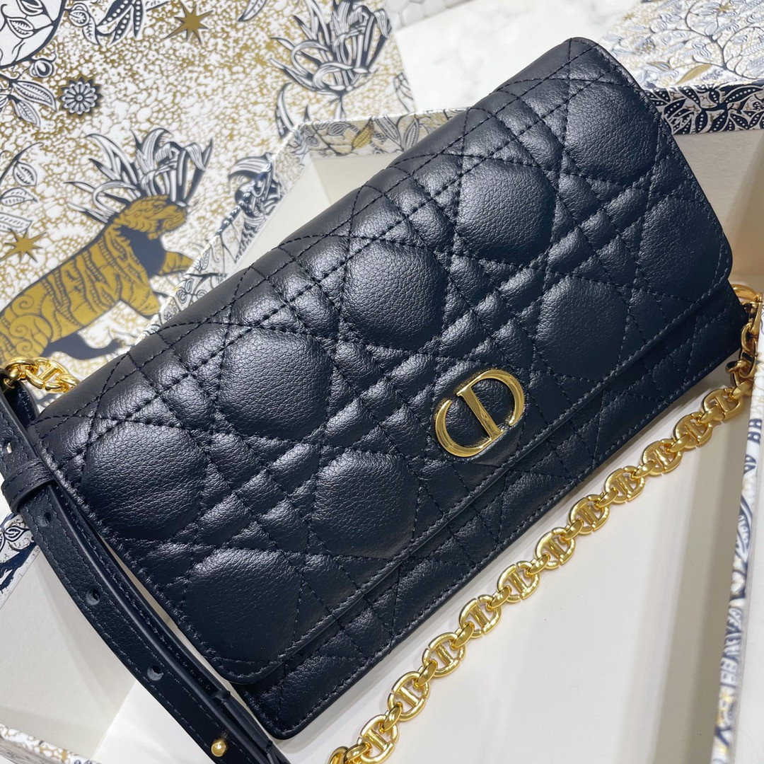 Dior Caro Pouch