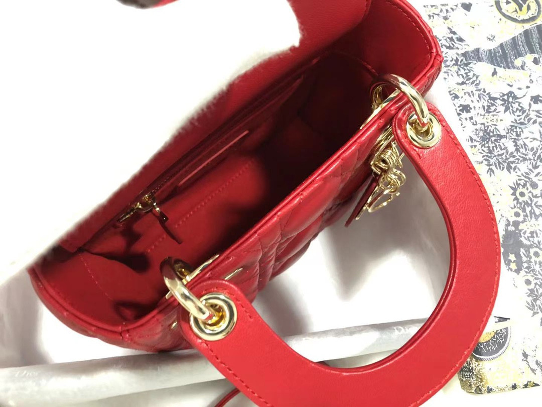 Mini Lady Dior Bag
