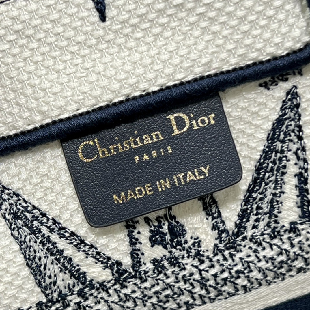 Small Dior Book Tote