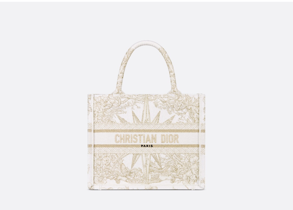 Small Dior Book Tote