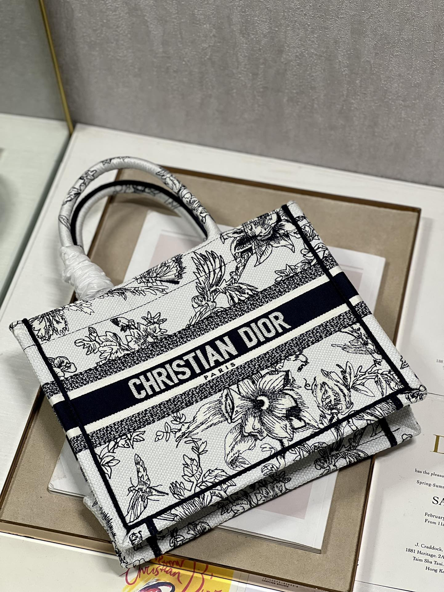 Small Dior Book Tote