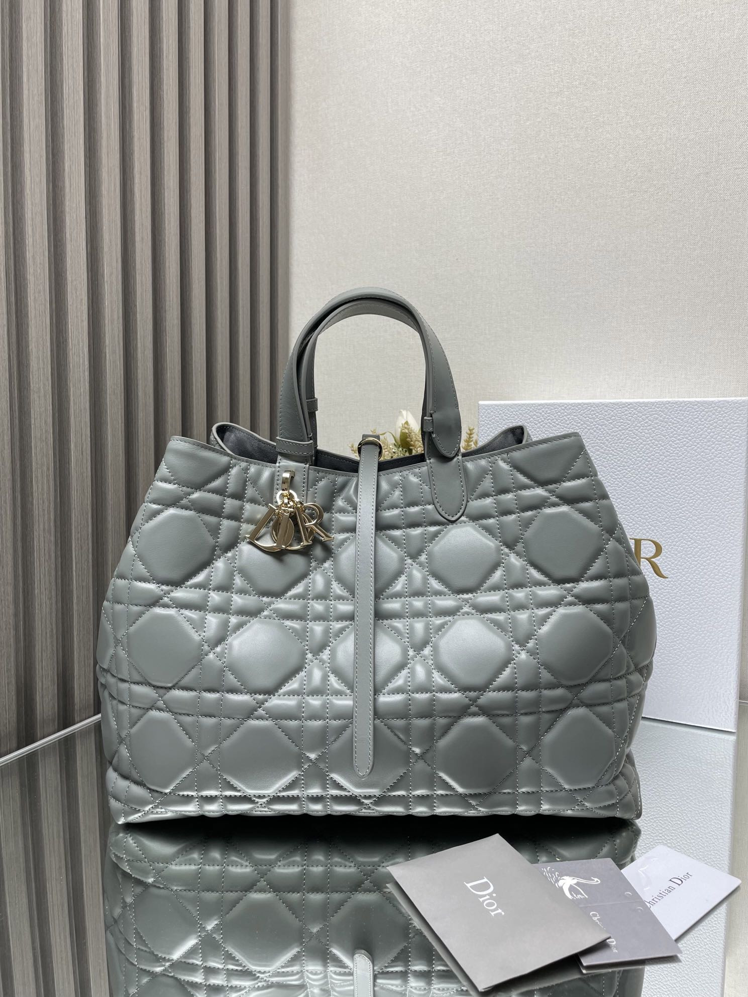 Dior Toujours Bag