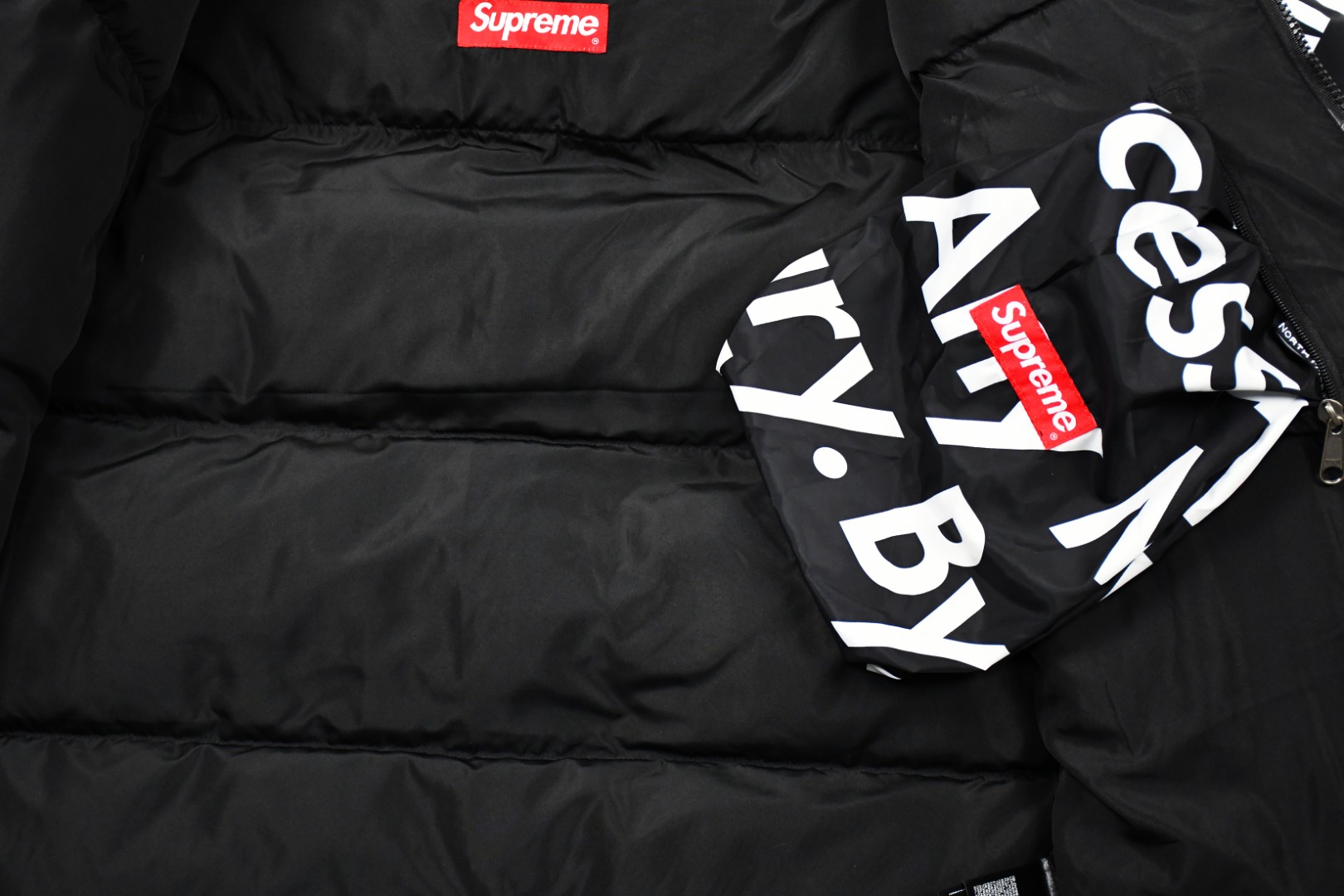 Supreme x The North Face TNF 15FW By Any Means Down Jacket