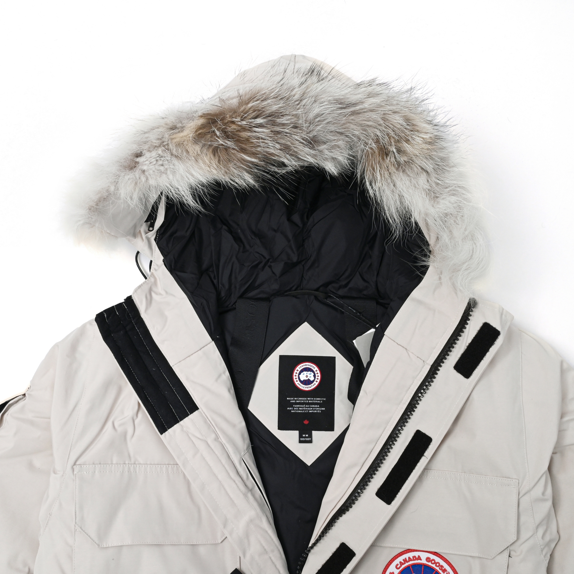 Canada Goose   Expedition