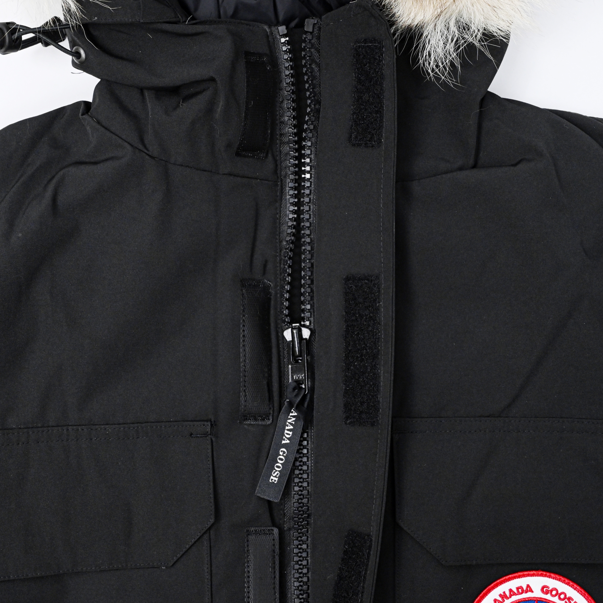 Canada Goose   Expedition