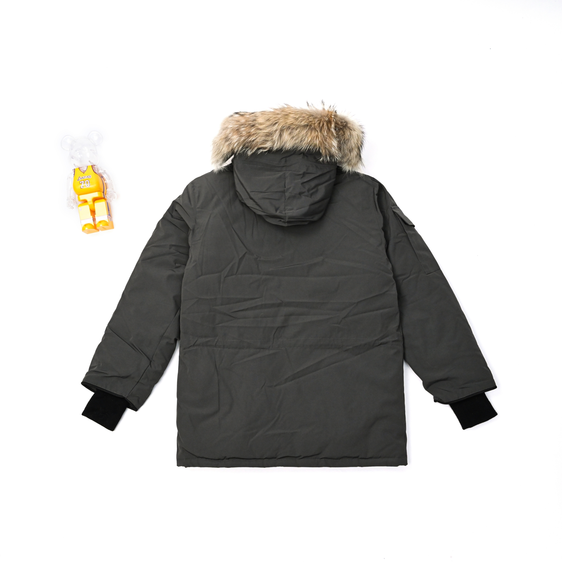 Canada Goose   Expedition