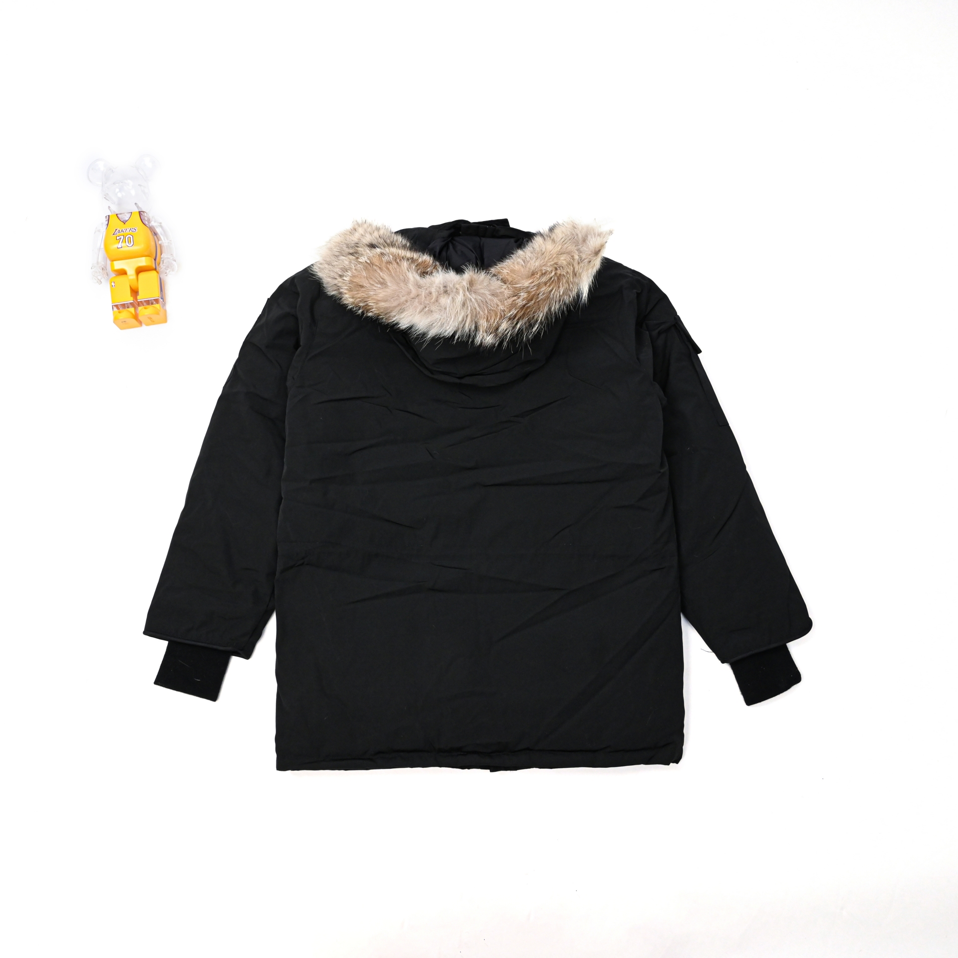 Canada Goose   Expedition