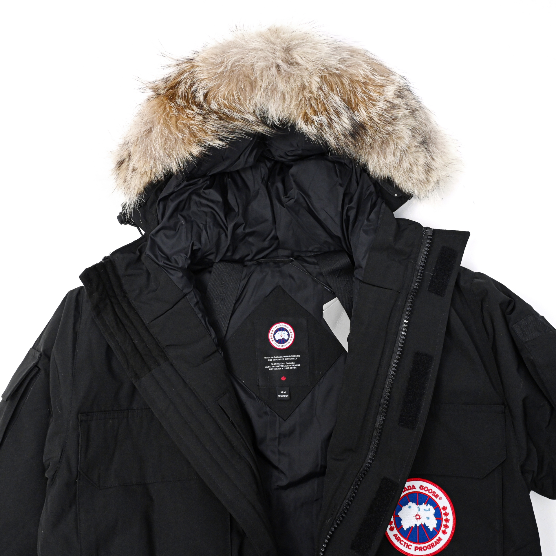 Canada Goose   Expedition