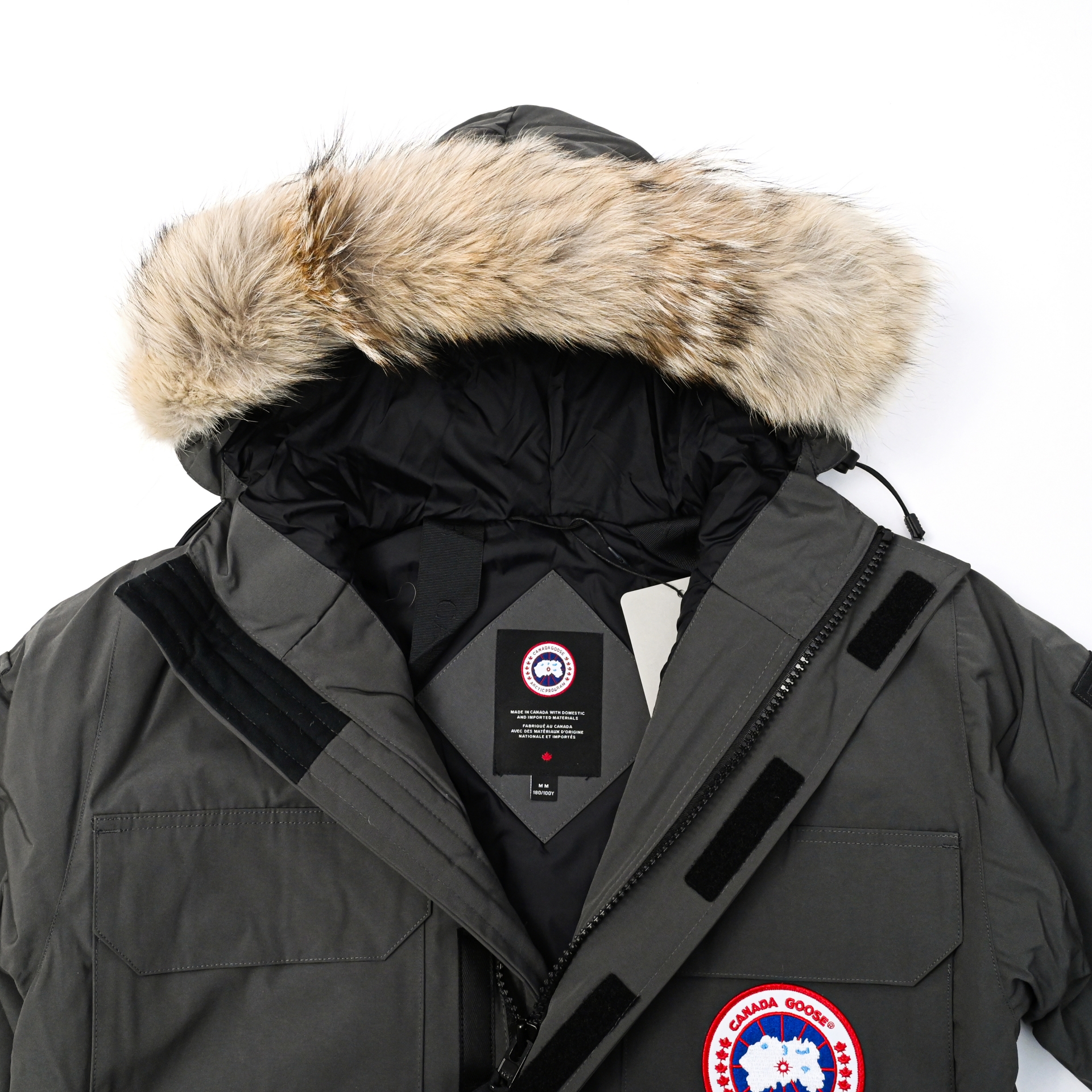 Canada Goose   Expedition