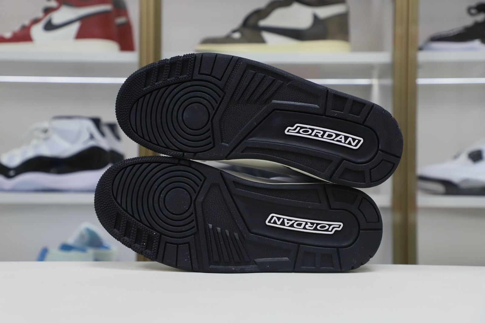 Jordan Air Jordan 3 Retro Hide N Sneak（DK6665-100）