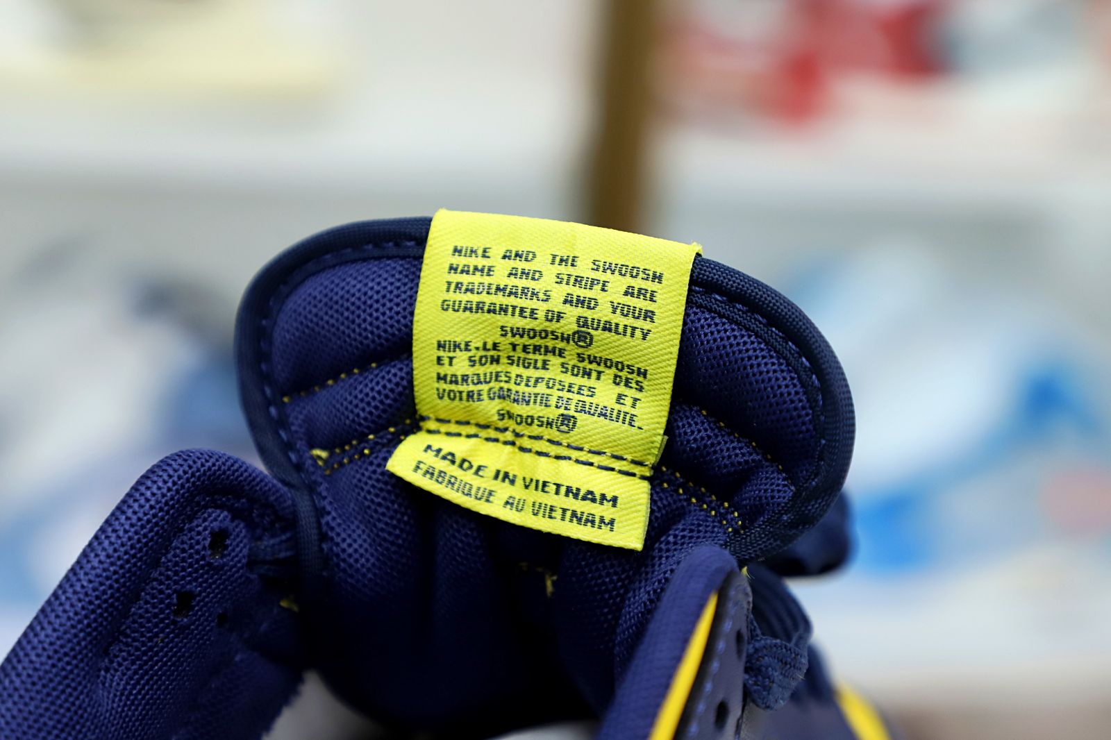 DUNK LOW 'MICHIGAN' 2021