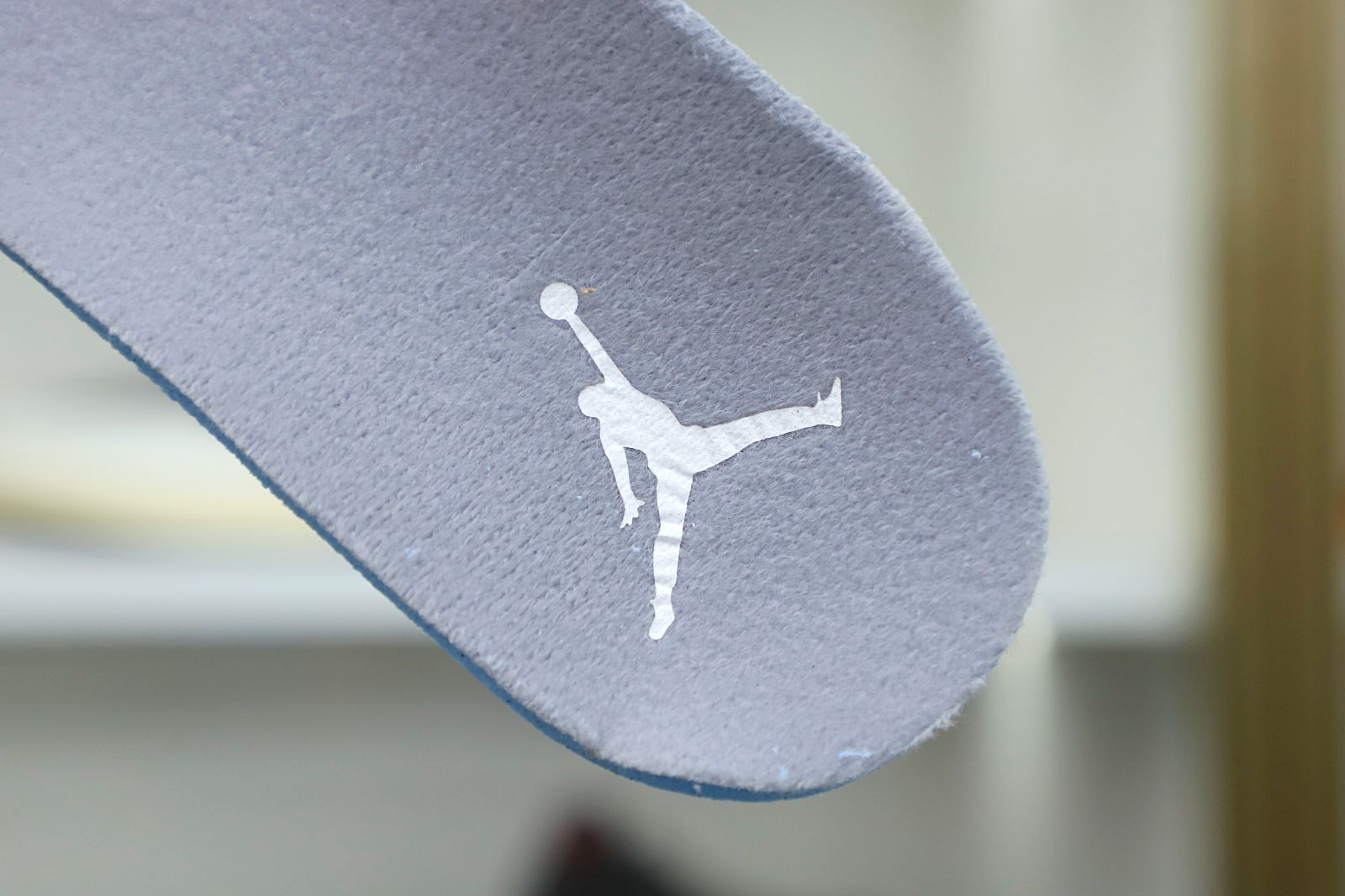 Jordan Air Jordan 12 retro 