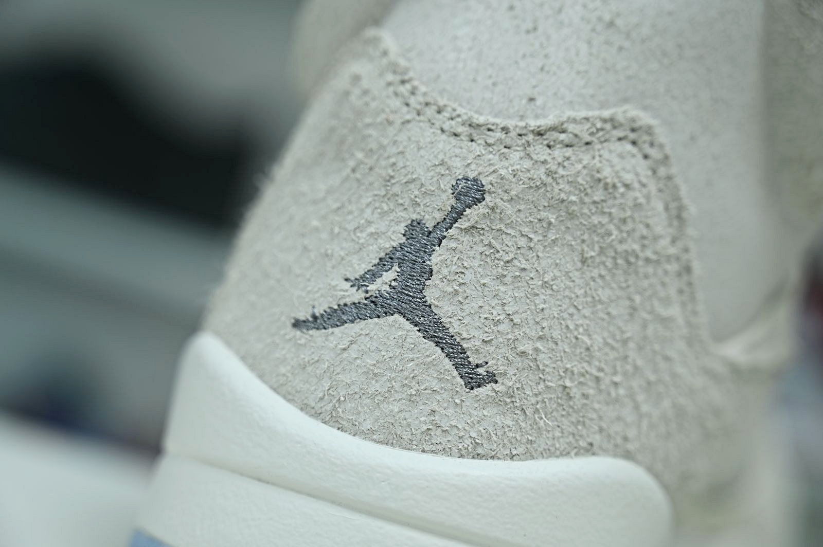 Jordan Air Jordan5 SE