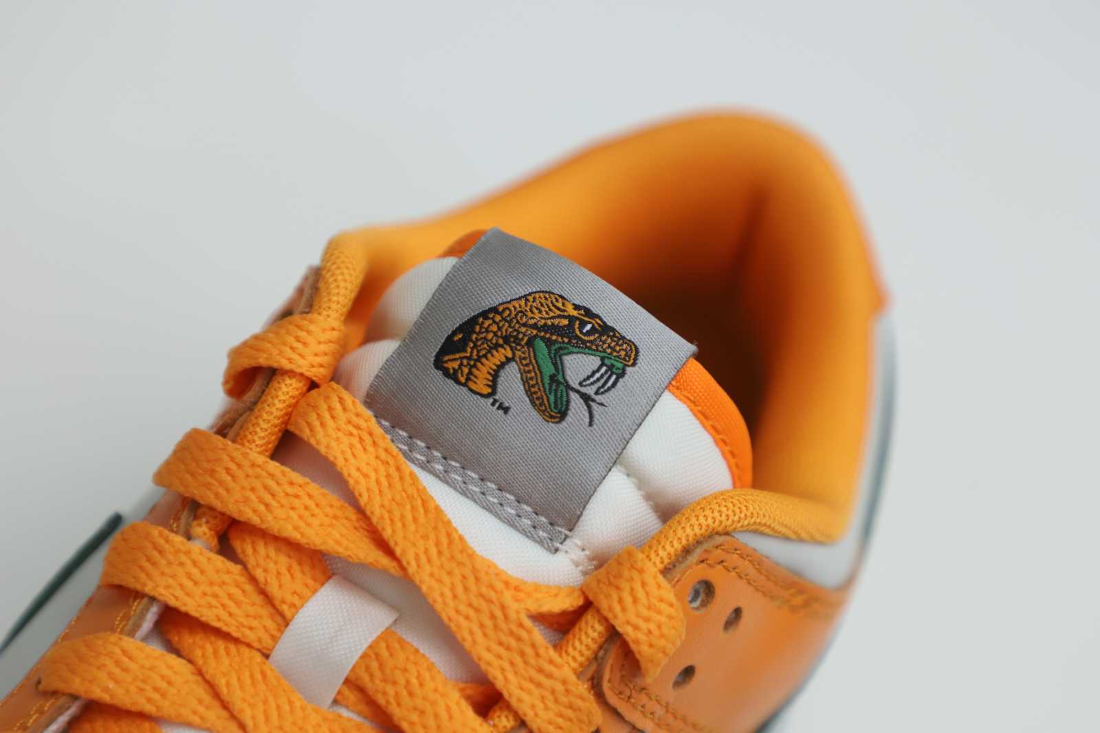 Nike Dunk Low  Florida A&M x
