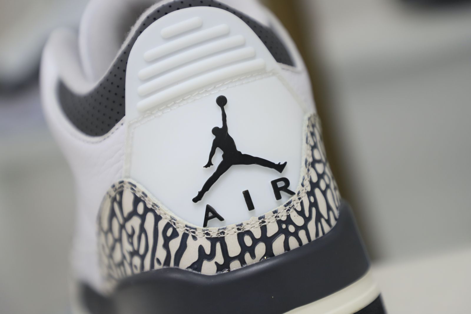 Jordan Air Jordan 3 Retro Hide N Sneak（DK6665-100）