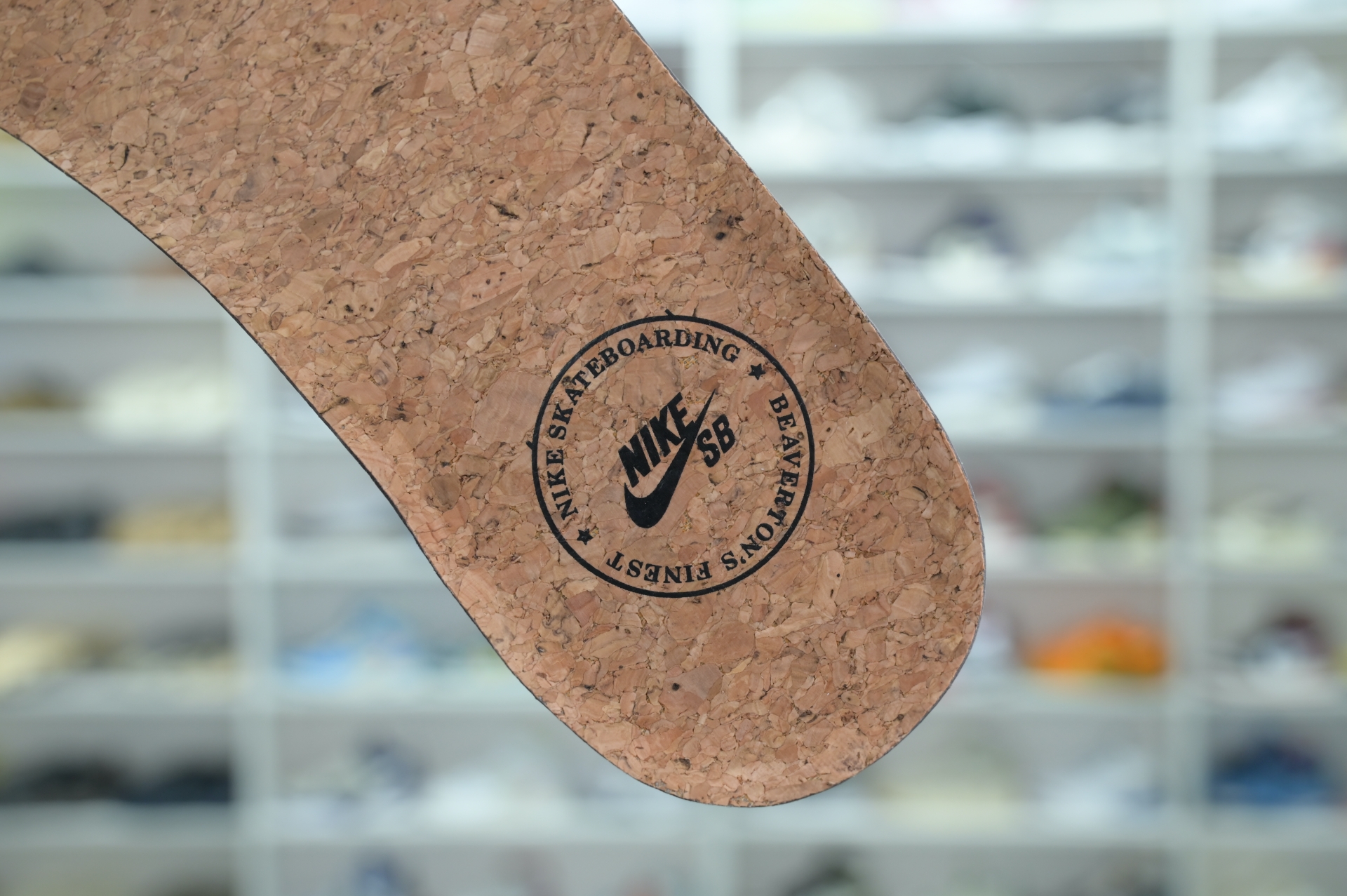 RIOT Skateshop x Nike SB Dunk Low