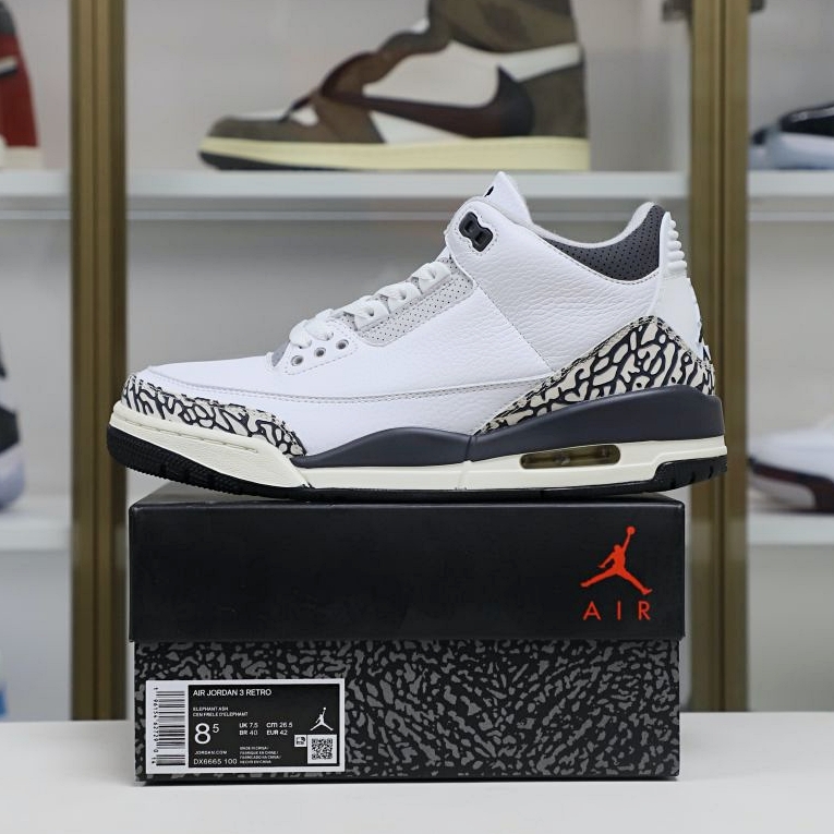 Jordan Air Jordan 3 Retro Hide N Sneak(DK6665-100)