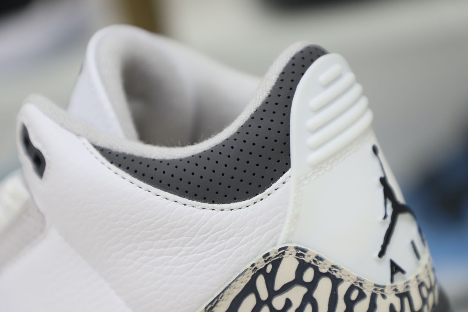 Jordan Air Jordan 3 Retro Hide N Sneak（DK6665-100）