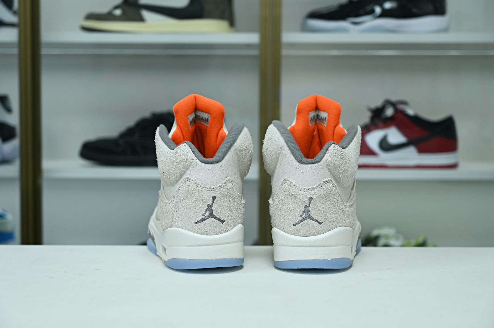 Jordan Air Jordan5 SE