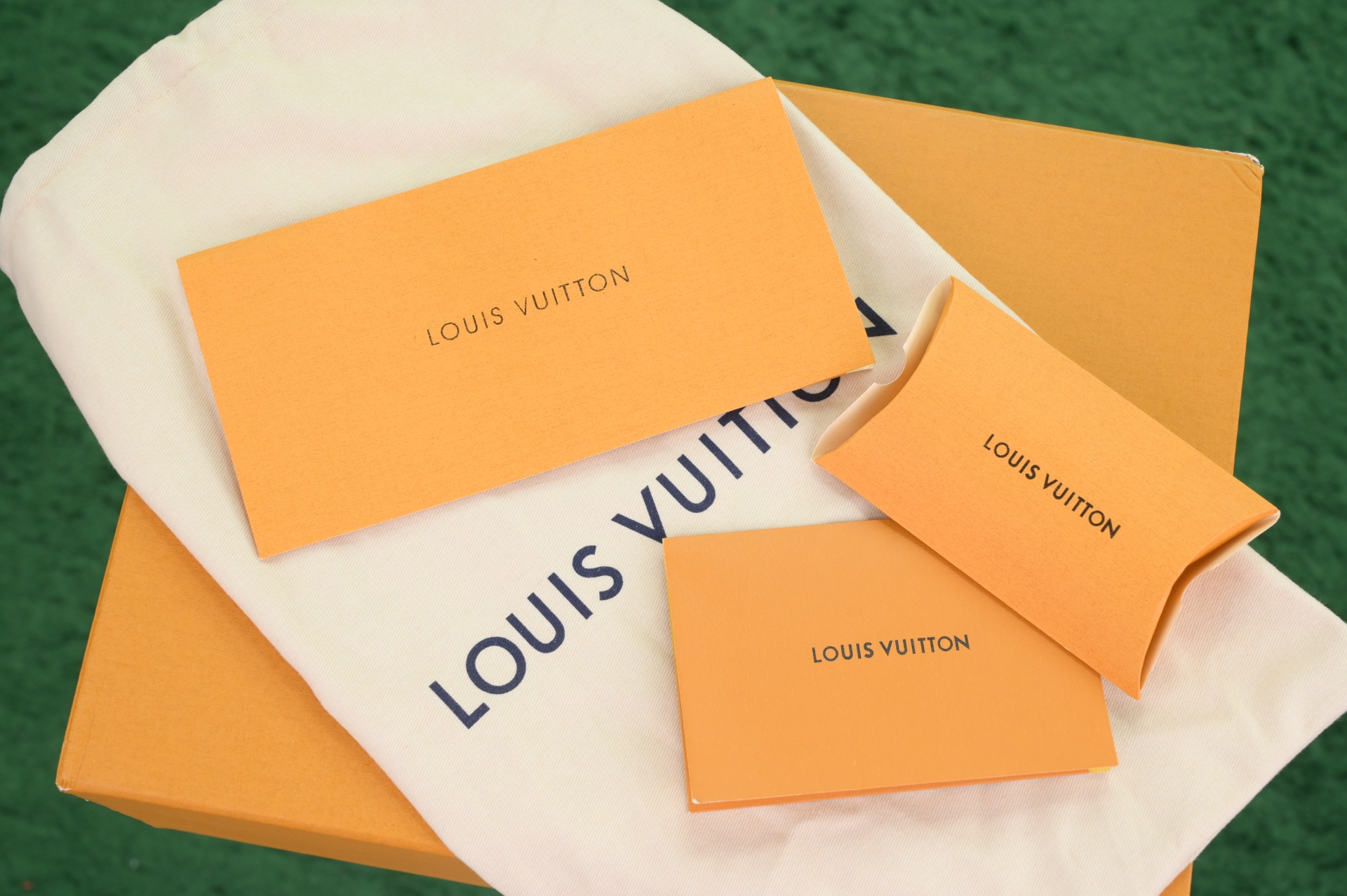 Takashi Murakami x LOUIS VUITTON Trainer