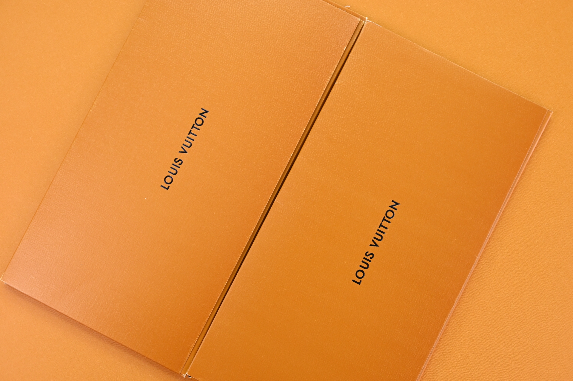 LOUIS VUITTON NEVERFULL  Tote