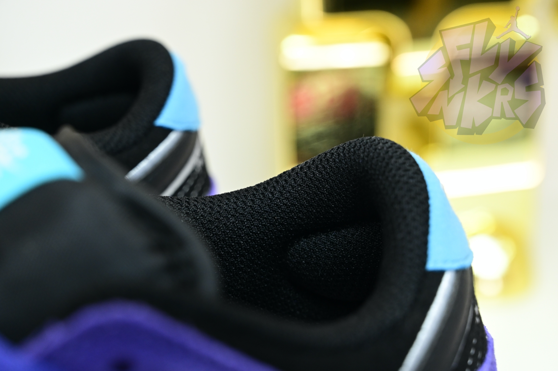 Hayley Wilson x Nike Dunk SB DUNK LOW PRO  HJ0513-500