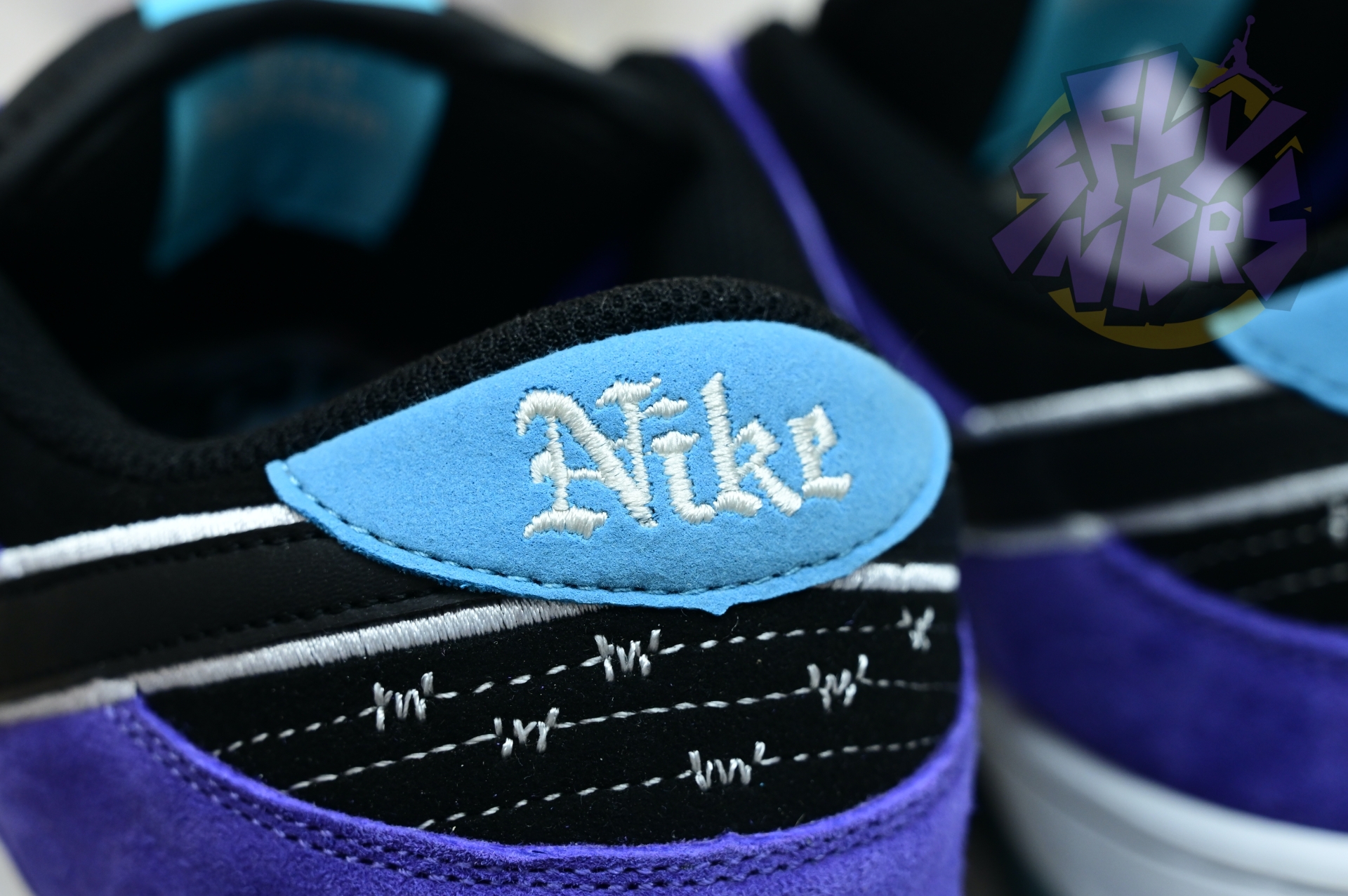 Hayley Wilson x Nike Dunk SB DUNK LOW PRO  HJ0513-500