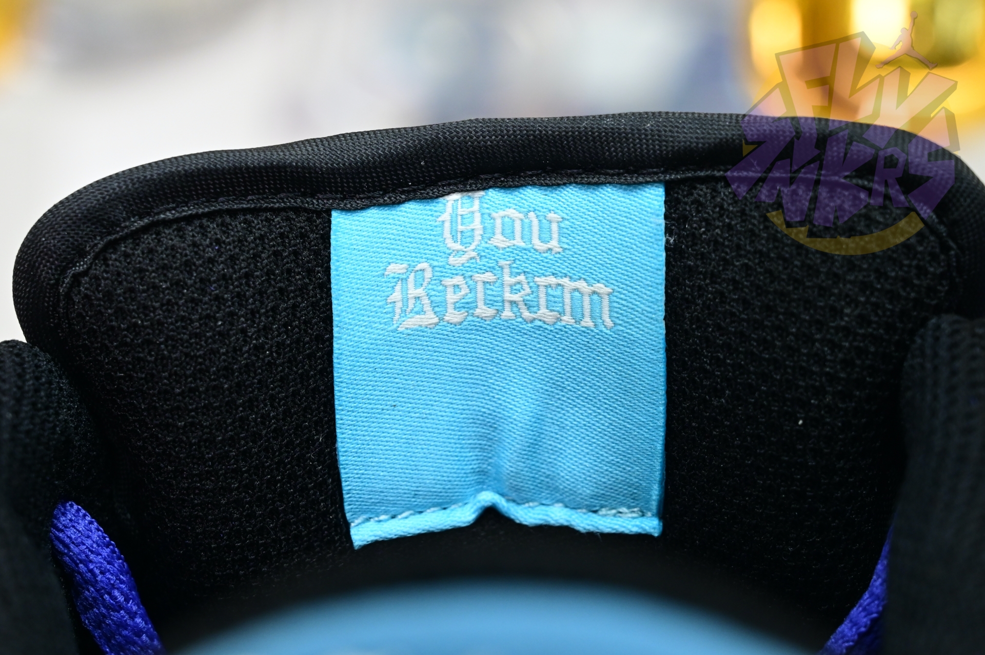 Hayley Wilson x Nike Dunk SB DUNK LOW PRO  HJ0513-500